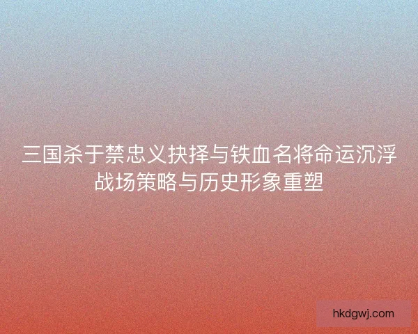 三国杀于禁忠义抉择与铁血名将命运沉浮战场策略与历史形象重塑